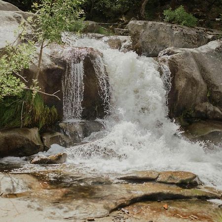 Riverfront Property With Waterfalls Near Yosemite And Bass Lake Oakhurst Eksteriør billede