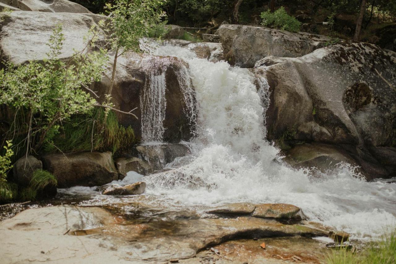 Riverfront Property With Waterfalls Near Yosemite And Bass Lake Oakhurst Eksteriør billede